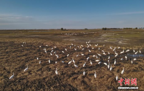 10��16�����ڼ���ĪĪ���(gu��)�Ҽ�(j��)��Ȼ���o(h��)�^(q��)��(n��i)���Q����Ϣ��(�o(w��)�˙C(j��)��Ƭ)�w��� �z