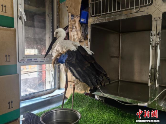 �܂��Ė|�����X���ڽ����ί�����ʯ���� �z