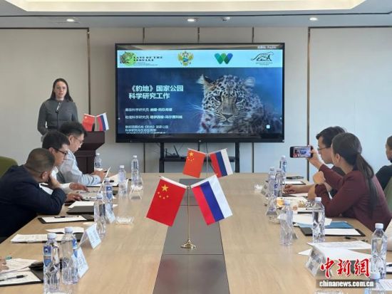 ���_˹���ҷ������o(h��)�|������(j��ng)�(y��n)�������� �z