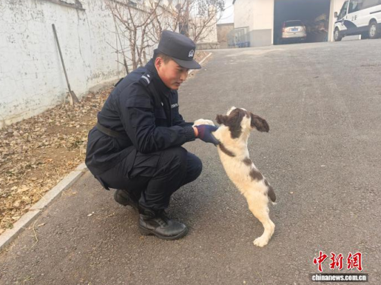 ���Ҳ������c�[�����B(y��ng)�H�ܶ�����ʯ���� �z