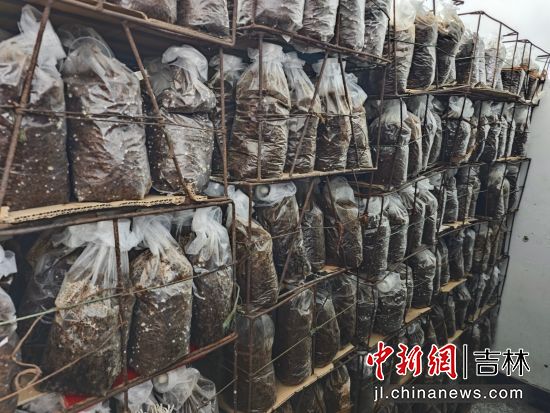 安圖縣委宣傳部/供圖 安圖縣委宣傳部/供圖