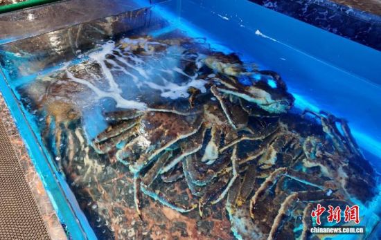 ���B(y��ng)����ĵ���з����߅��ί������ ���D