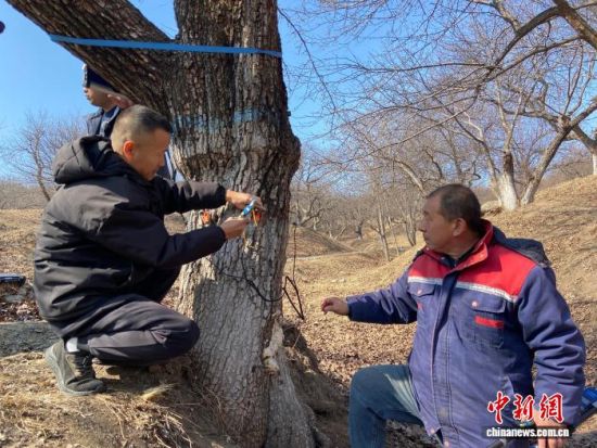 �����ˆT���ڌ�(du��)�����(sh��)���������w�z�������� �z