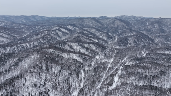 ���AƤ���(zh��n)ĵ���X�� �������ý�w���Ĺ��D