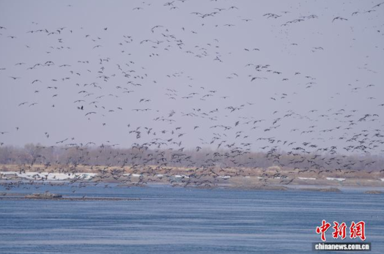 �B��^�������Ժ��������� �z