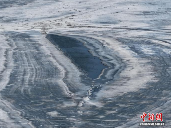 3��16�գ������(zh��n)�l�������������������BͣЪҒʳ���������� �z