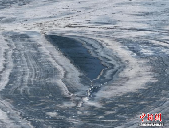 3��16�գ������(zh��n)�l�������������������BͣЪҒʳ���������� �z